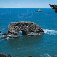 Mohammad Sadiq Photo 8