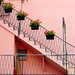 Rosa Scala Photo 19