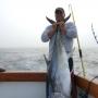 John Fullmer Photo 23