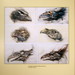 Crystal Henson Photo 45