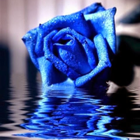 Jessica Isbell Photo 9