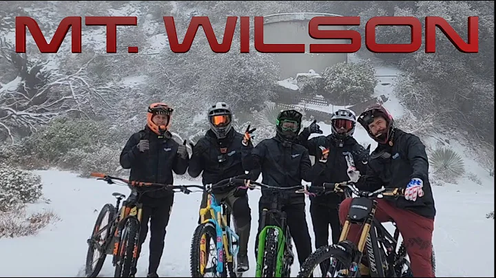 Miles Wilson Photo 29
