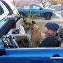 Dawn Todd Photo 27
