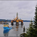 Nancy Goodrich Photo 27