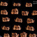 Eric Hsiao Photo 32