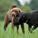 Scott Mack Photo 41