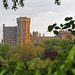 Scott Berk Photo 36