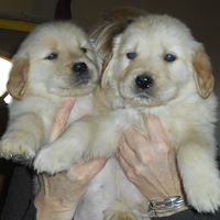 Nancy Lindberg Photo 7