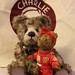 Ted Bear Photo 41