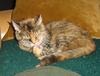Judy Wagner Photo 26