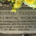 Bonnie Hill Photo 40