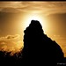 Cesar Andrade Photo 40