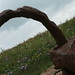 Rusty Martin Photo 43