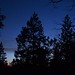 Nancy Fromm Photo 19