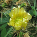 Lynn Sharp Photo 40