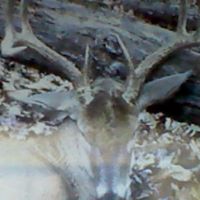 William Ganus Photo 1