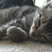 Gerald Crawford Photo 41