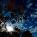 Phillip Fuller Photo 36