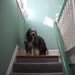 Spencer Beard Photo 24