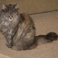 Tabitha Rush Photo 14