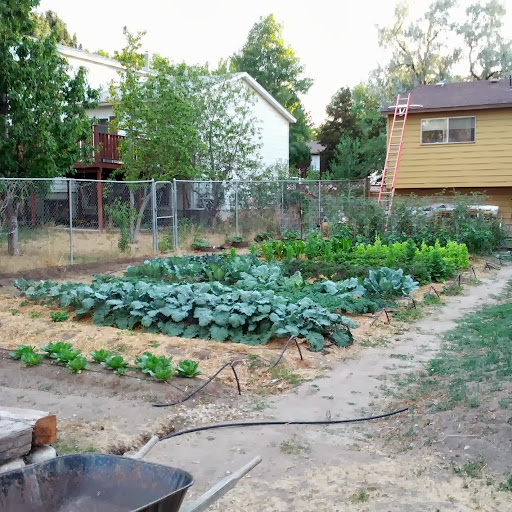 Hunter Hill Photo 14