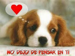 Arturo Orihuela Photo 9