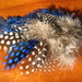 Jaime Feathers Photo 14