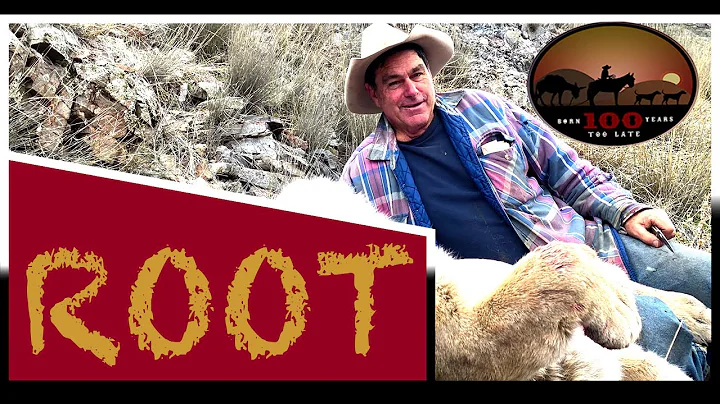 Michael Root Photo 41