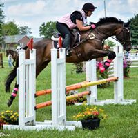 Amanda Stoops Photo 5