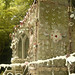 Beth Carter Photo 46