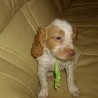 Betty Schaeffer Photo 1