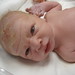 Lee Blevins Photo 35