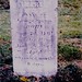 Mary Neely Photo 48