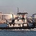 Robert Tow Photo 17