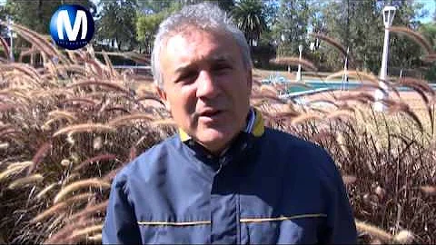 Sergio Orellana Photo 26