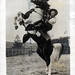 Billy Locke Photo 27
