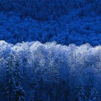 Roger Horner Photo 4