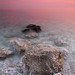 Dawn Fortino Photo 13