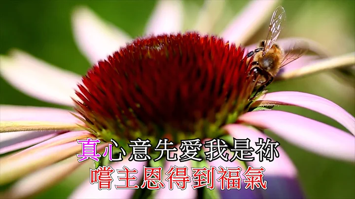 Annie Yuen Photo 19
