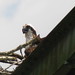 Richard Hartwell Photo 38