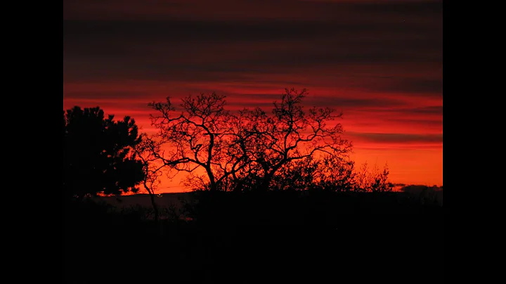 Martin Lichter Photo 10