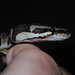 Peter Kyle Photo 37
