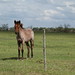 Juan Rosillo Photo 28