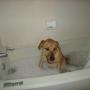 Tammy Long Photo 29