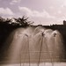 Frances Travers Photo 13