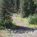 Bill Creek Photo 15