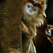 Alan Peek Photo 27