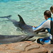 Dora Seals Photo 11