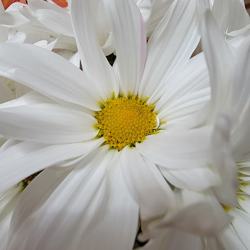 Wendy Nelson Photo 19