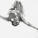 David Estey Photo 33